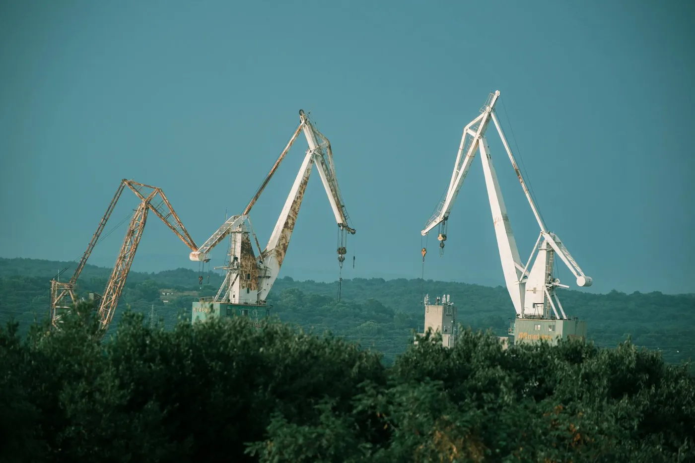 Rose Village: The Far Tip of Luštica