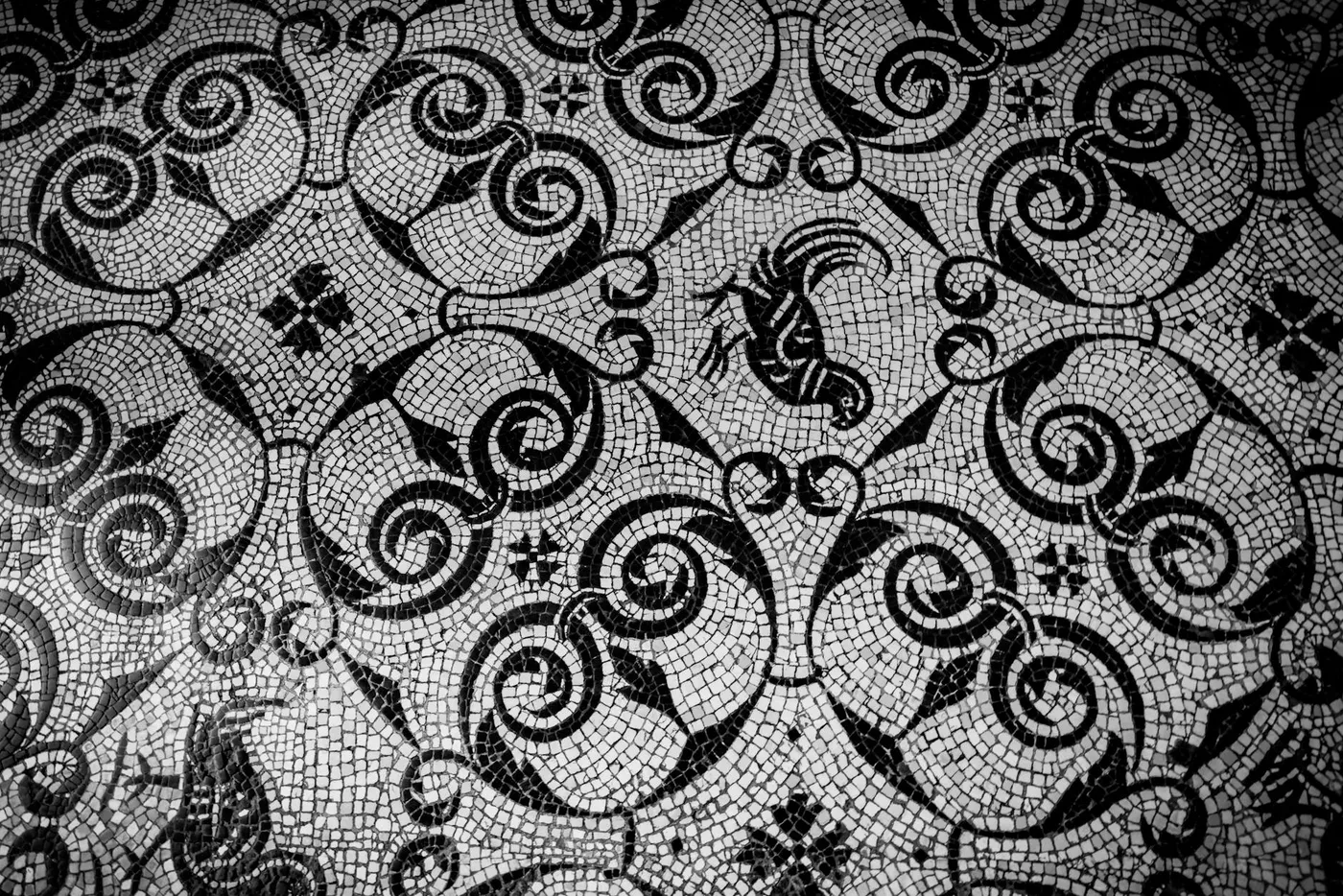 Risan Roman Mosaics: A Short Drive Worth Making